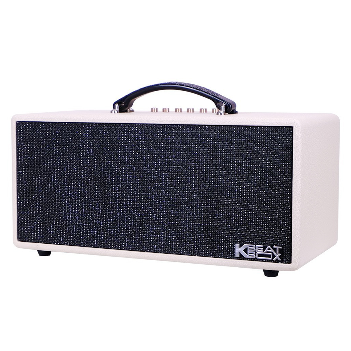 Loa xách tay Acnos KS363H