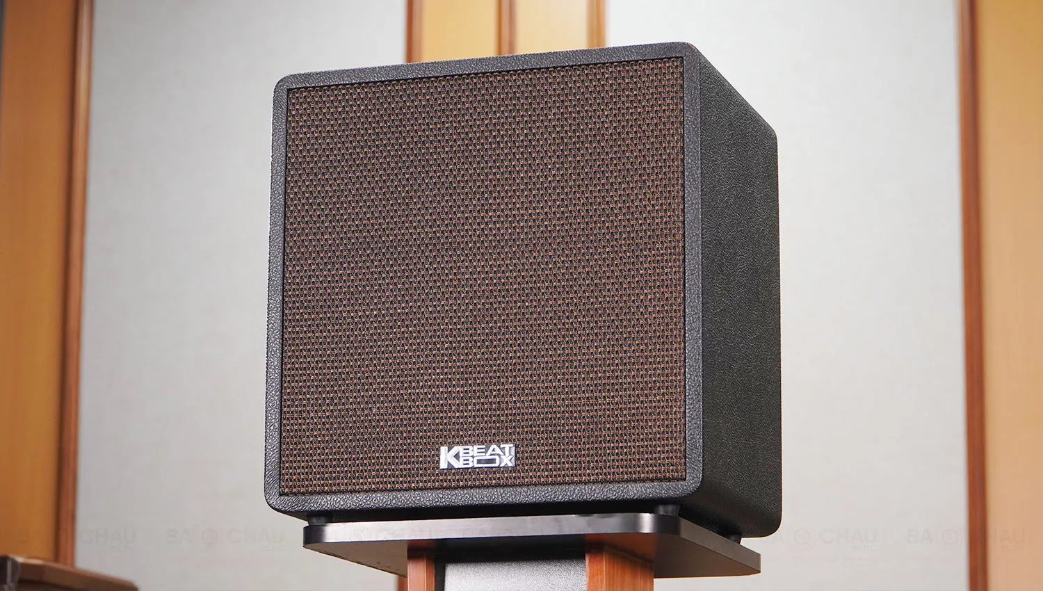 Loa Xách Tay Acnos QUAD 64