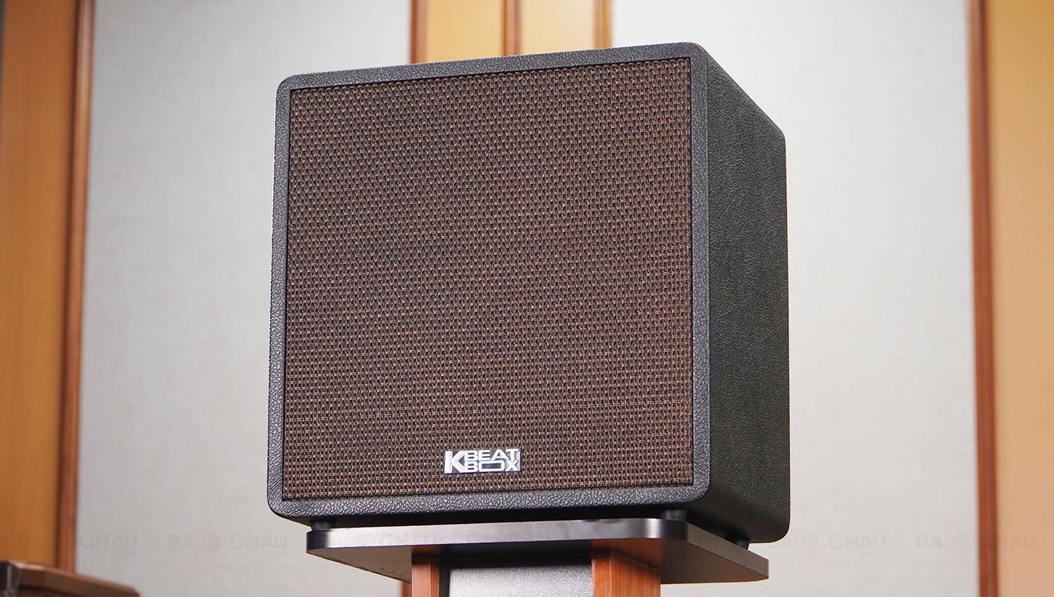 Loa Xách Tay Acnos QUAD 64