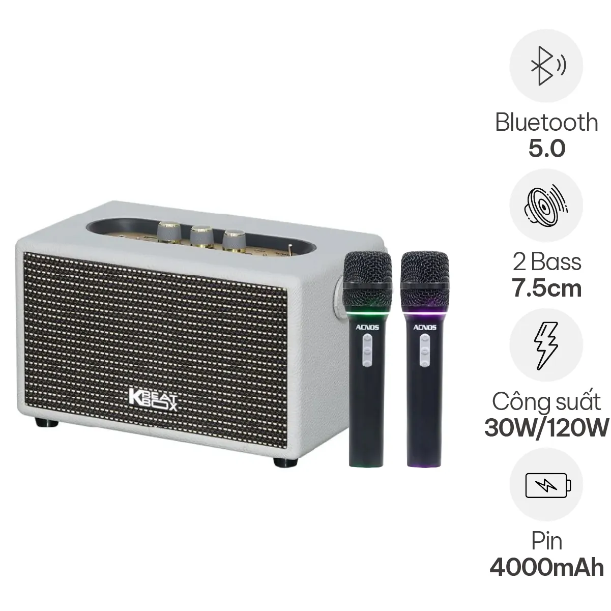 Loa xách tay Acnos S30