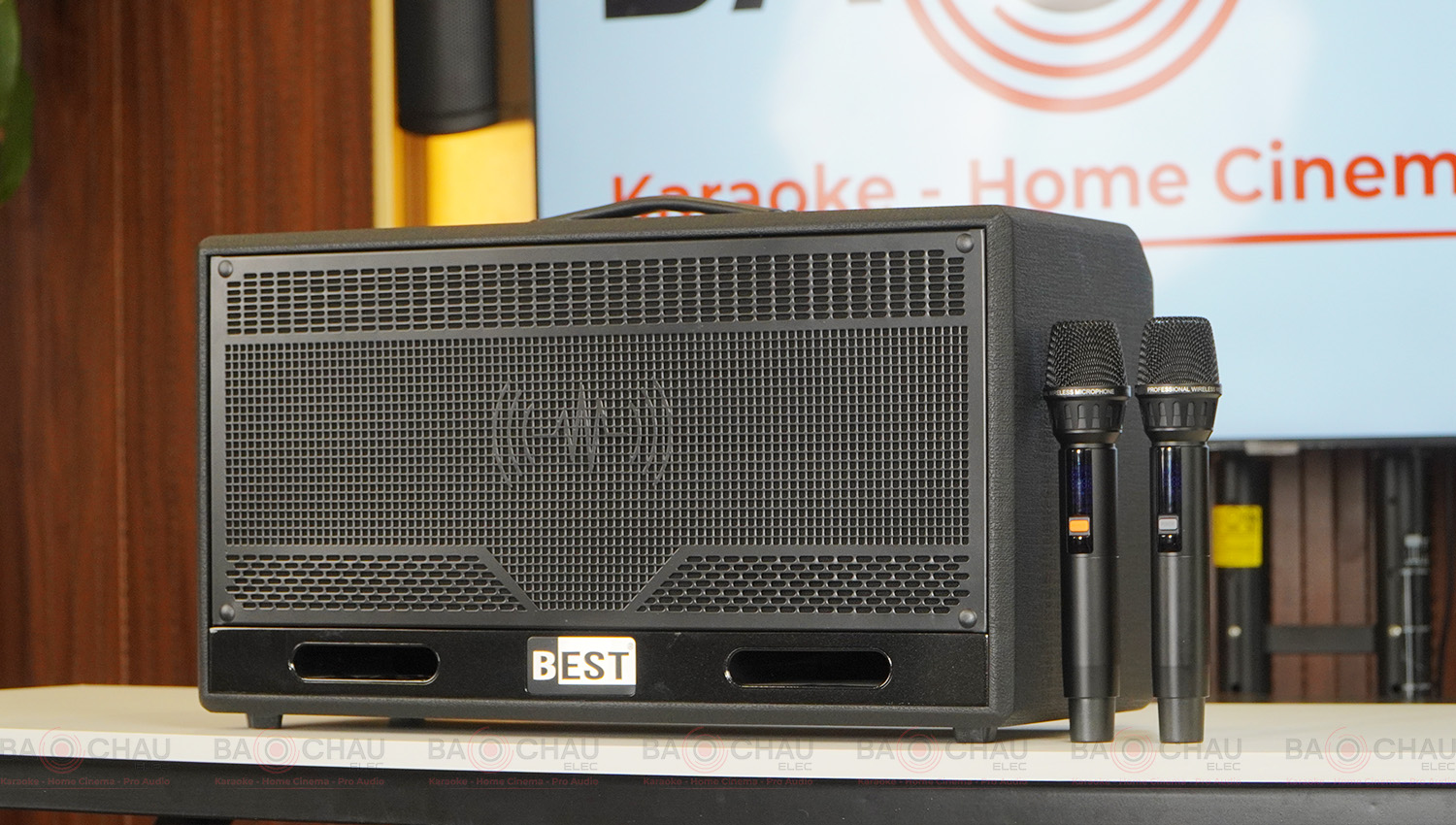 Loa karaoke xách tay BEST S20