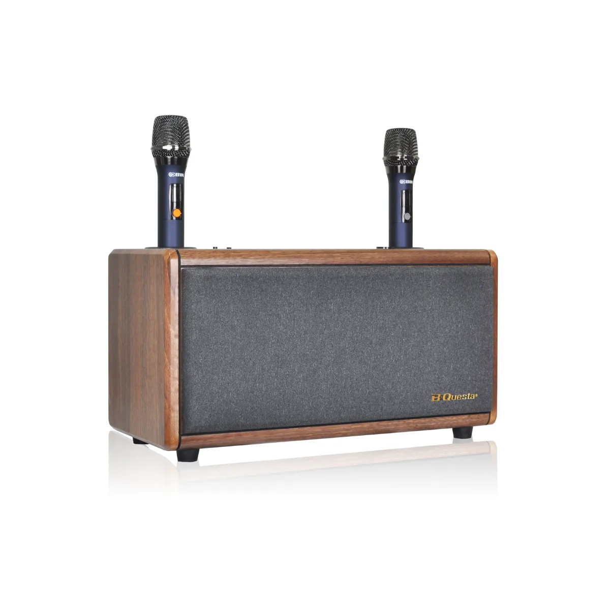 Loa xách tay BIK BCQ-M65dB