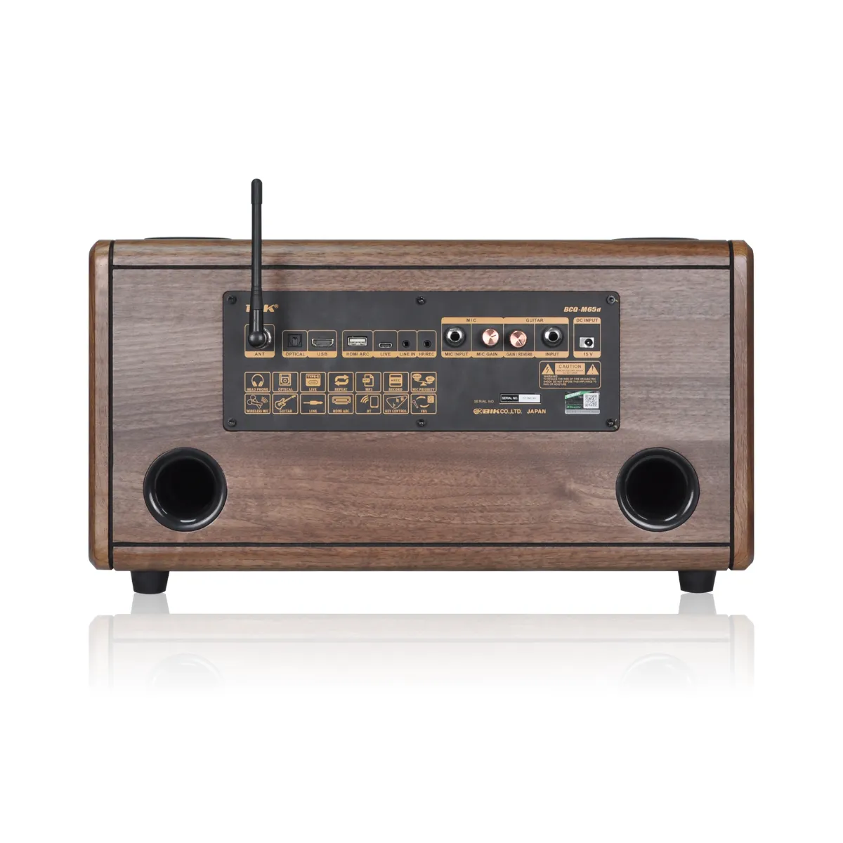 Loa xách tay BIK BCQ-M65dB