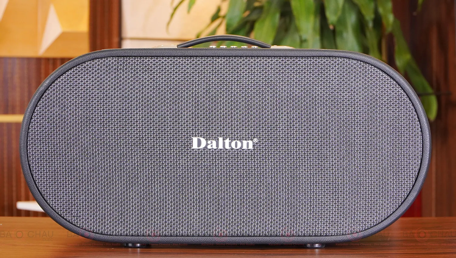 Loa xách tay Dalton K210C