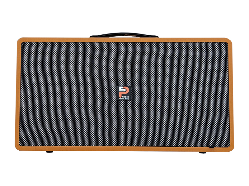Loa x&aacute;ch tay Prosing PS-28 