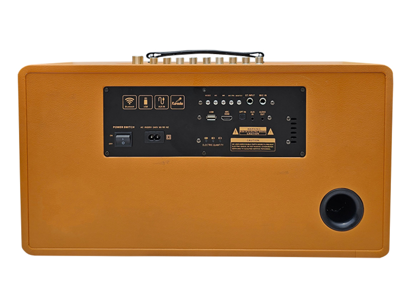 Loa x&aacute;ch tay Prosing PS-28 