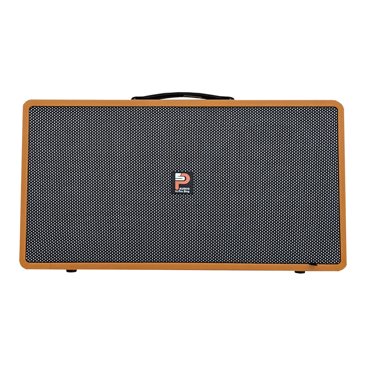 Loa xách tay Prosing PS-28