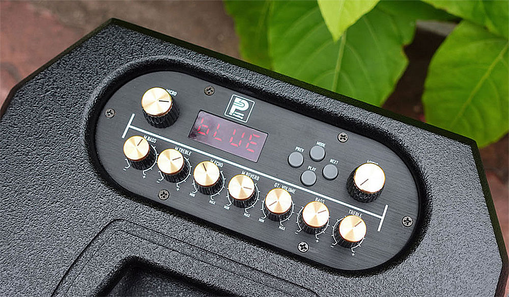Loa x&aacute;ch tay Prosing PS-909