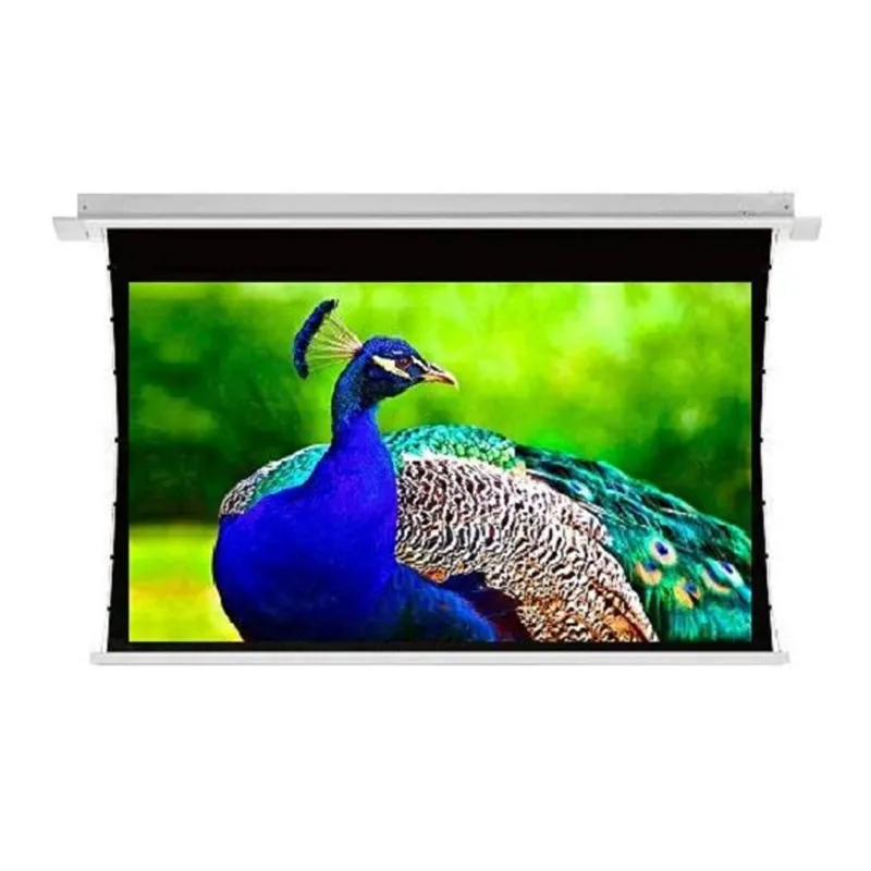 Màn chiếu điện Tab Tension CM-1339EST 133 inch