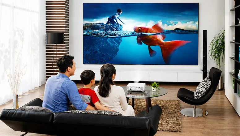 Máy chiếu, màn chiếu, màn hình LED, đèn sân khấu
