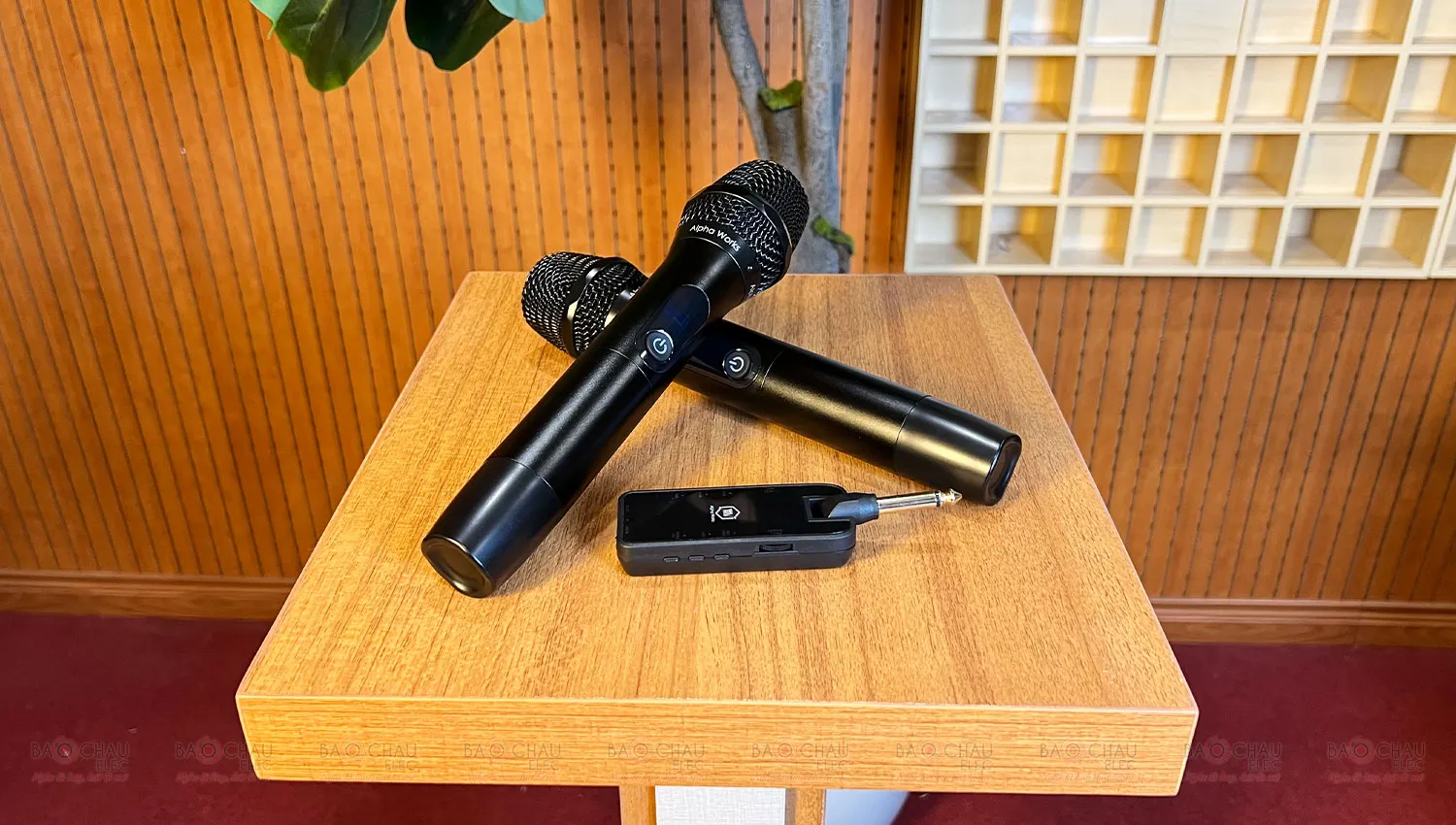 Micro Kh&ocirc;ng D&acirc;y Alpha Works D2
