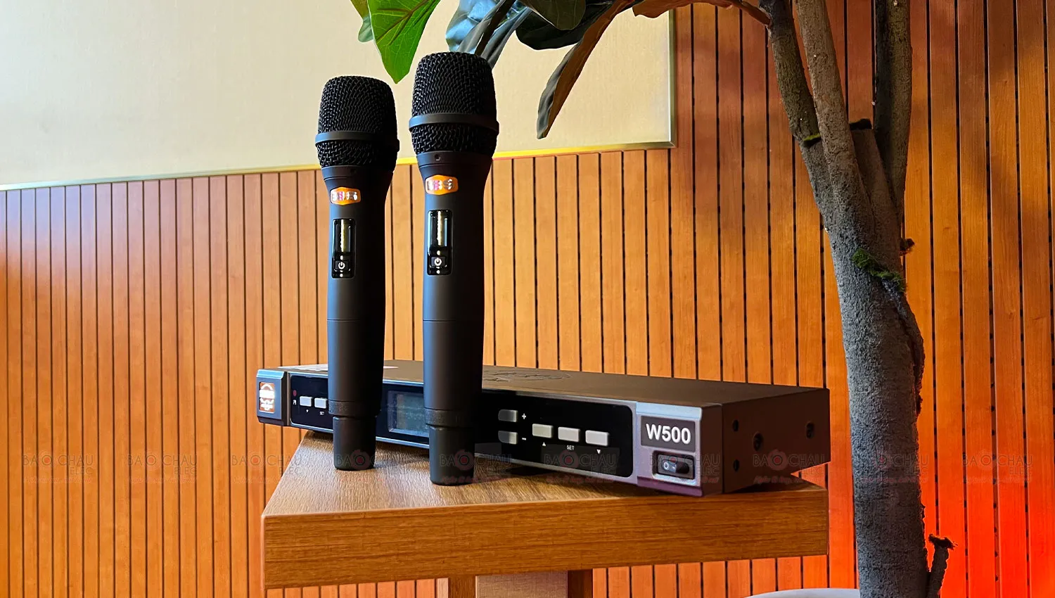 Micro Không Dây BBS W500