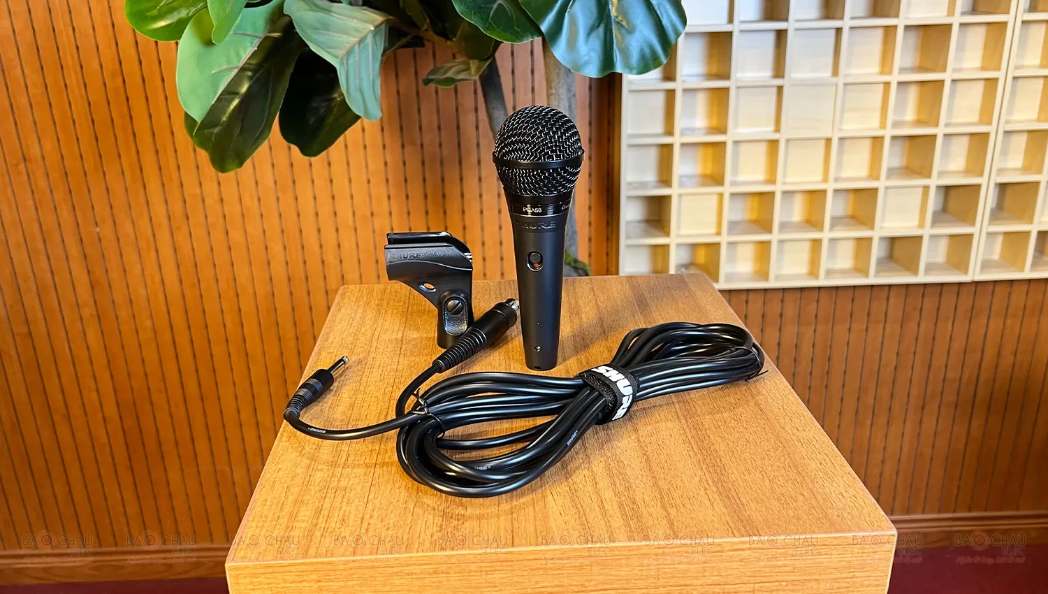 Micro Shure PGA58