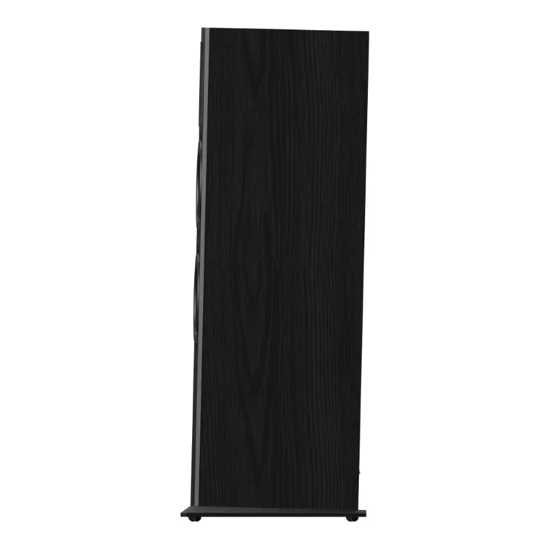 Loa Paramax Euro 803 Classic