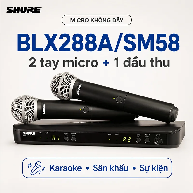 Micro Shure BLX288A/SM58 (2micro)