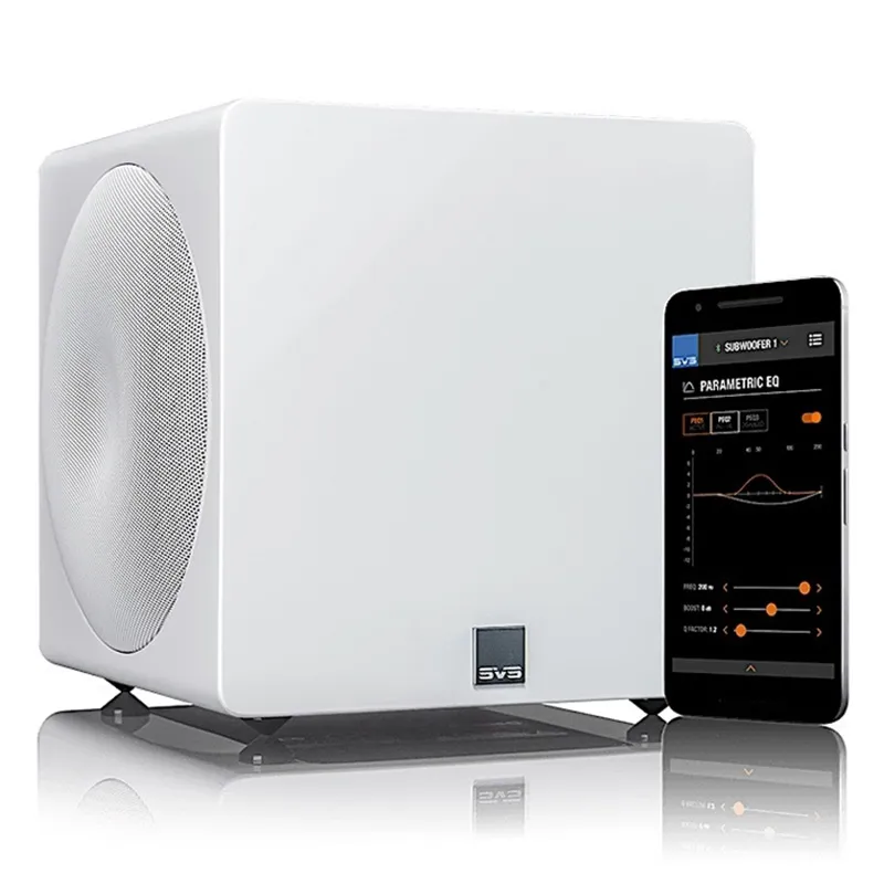 Loa sub SVS 3000 Micro R|Evolution