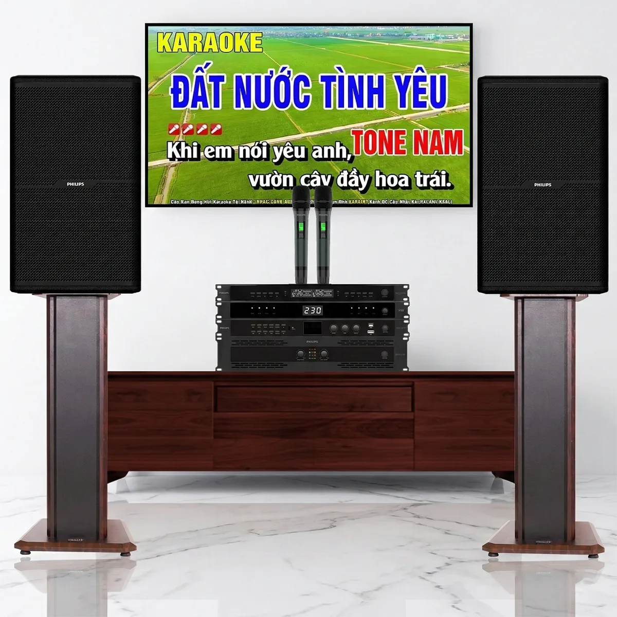 Dàn karaoke đồng bộ Philips 02 (CSS2807/70,CSS2551/70, CSS3751/70, CSS3321/70, Philips M8) - Hình 2