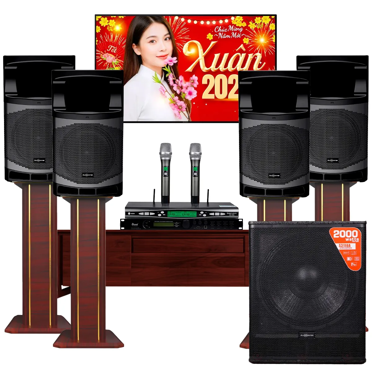 Dàn Karaoke Gia Đình Audiocenter 02 (Audiocenter MA12, Bksound VX12, Audiocenter S3118A, Baiervires BS-790) - Hình 2