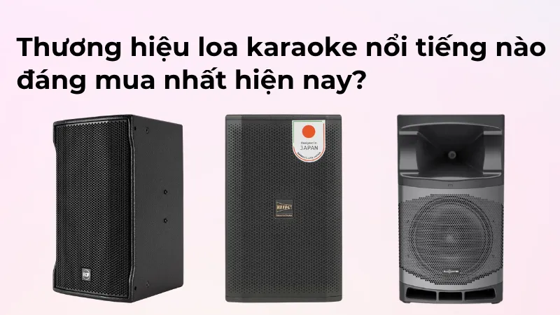 Thương hiệu loa karaoke nổi tiếng nào đáng mua nhất hiện nay?