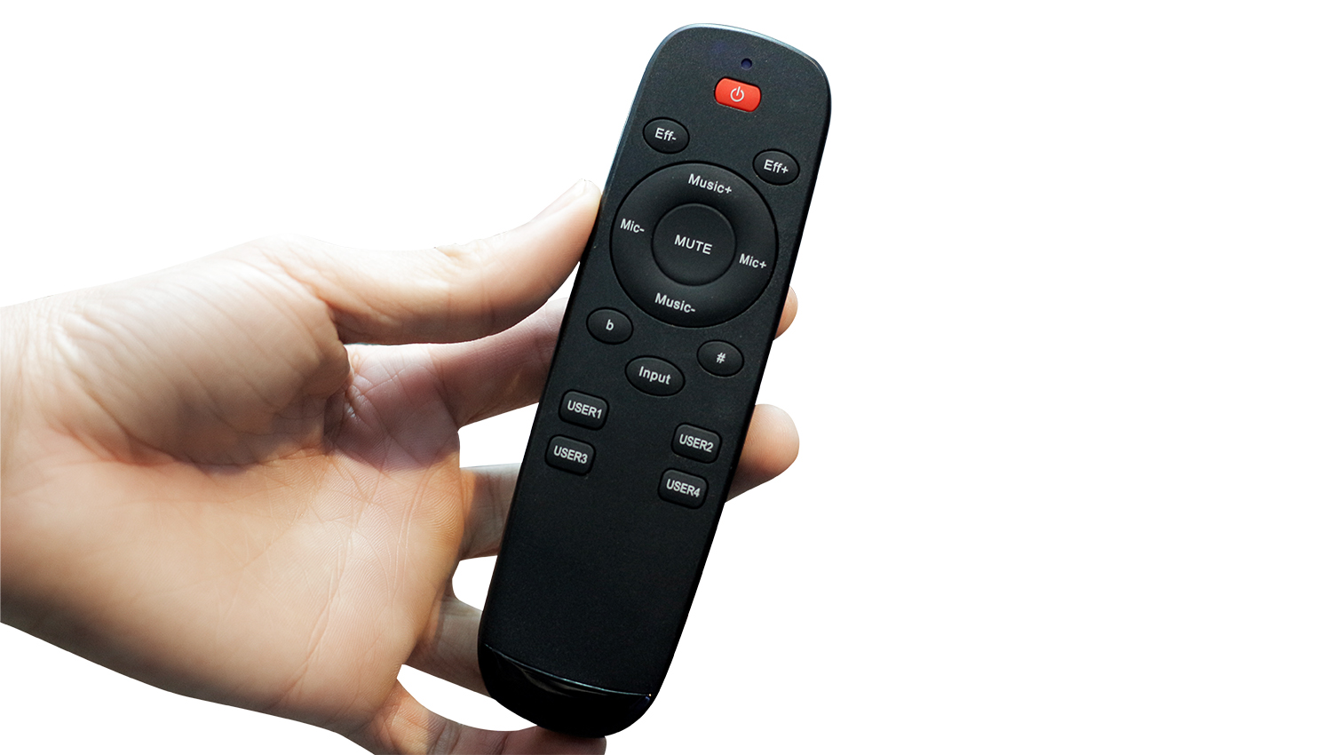 Điều khiển Vang số AAP K9800