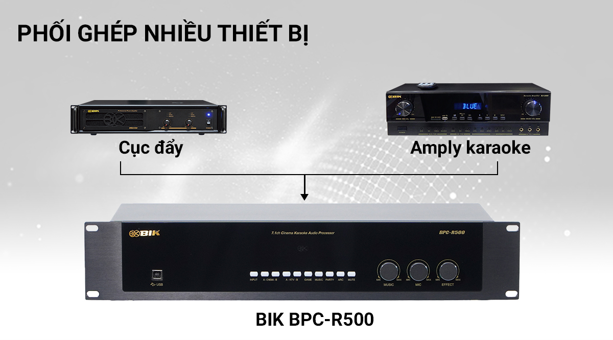 vang số BIK BPC-R500