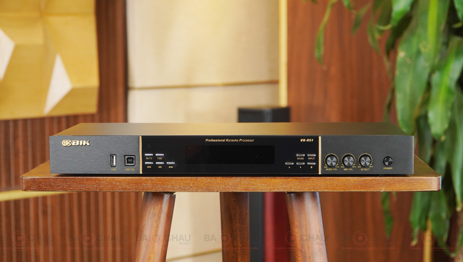 Vang số BIK VK-R51