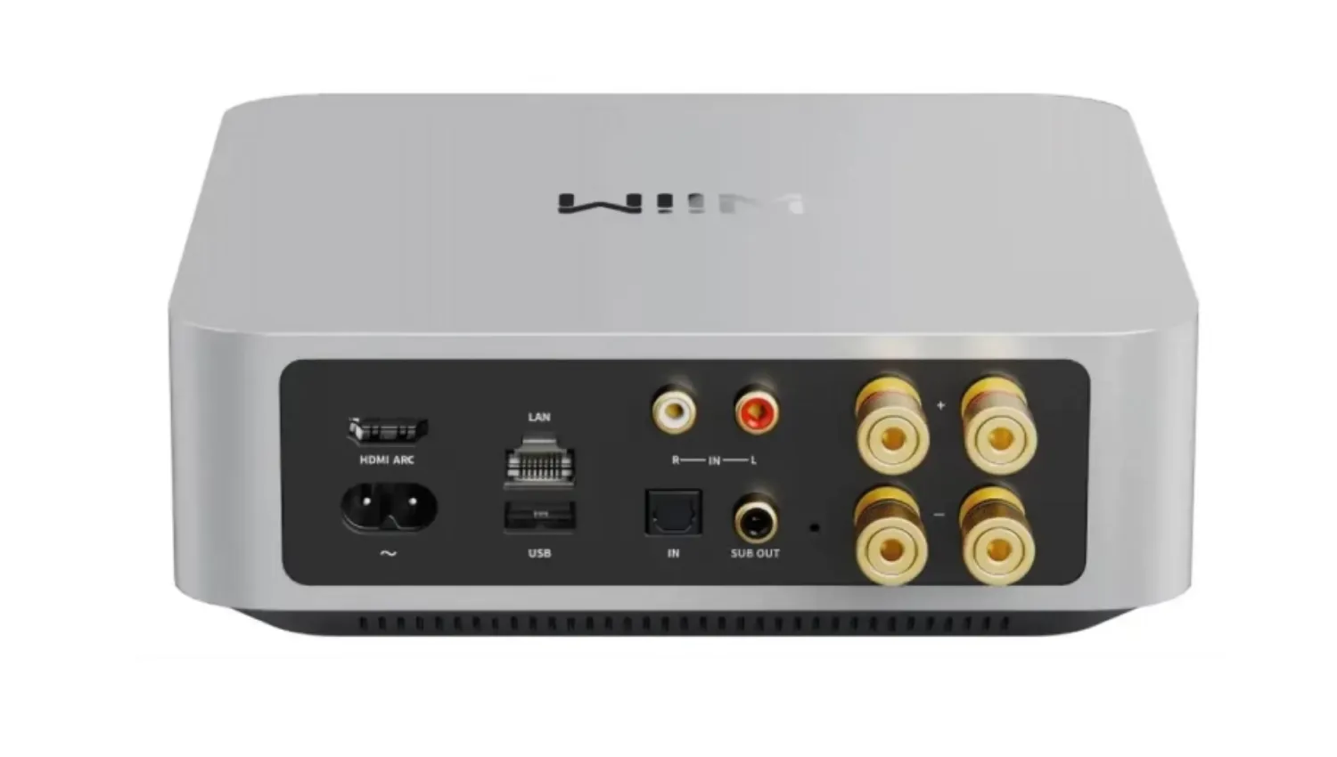 Amply WiiM Amp