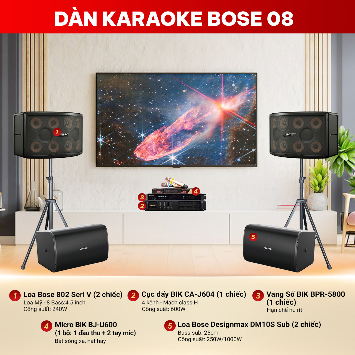D&agrave;n karaoke Bose 08