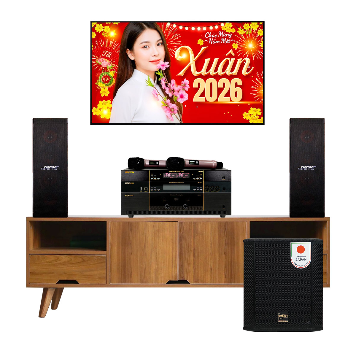 Dàn karaoke Bose 09 (Bose 402 Seri V, BIK BBK-W25A, BIK VK-A52, BIK VK-R51, BIK VK- M51)