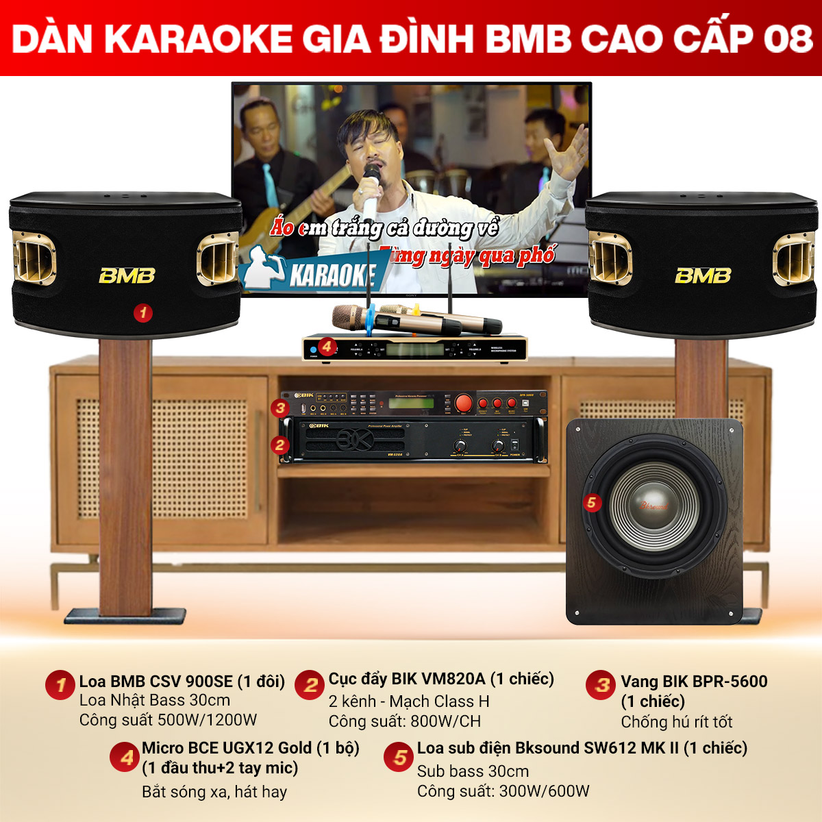 D&agrave;n karaoke gia đ&igrave;nh BMB cao cấp 08 