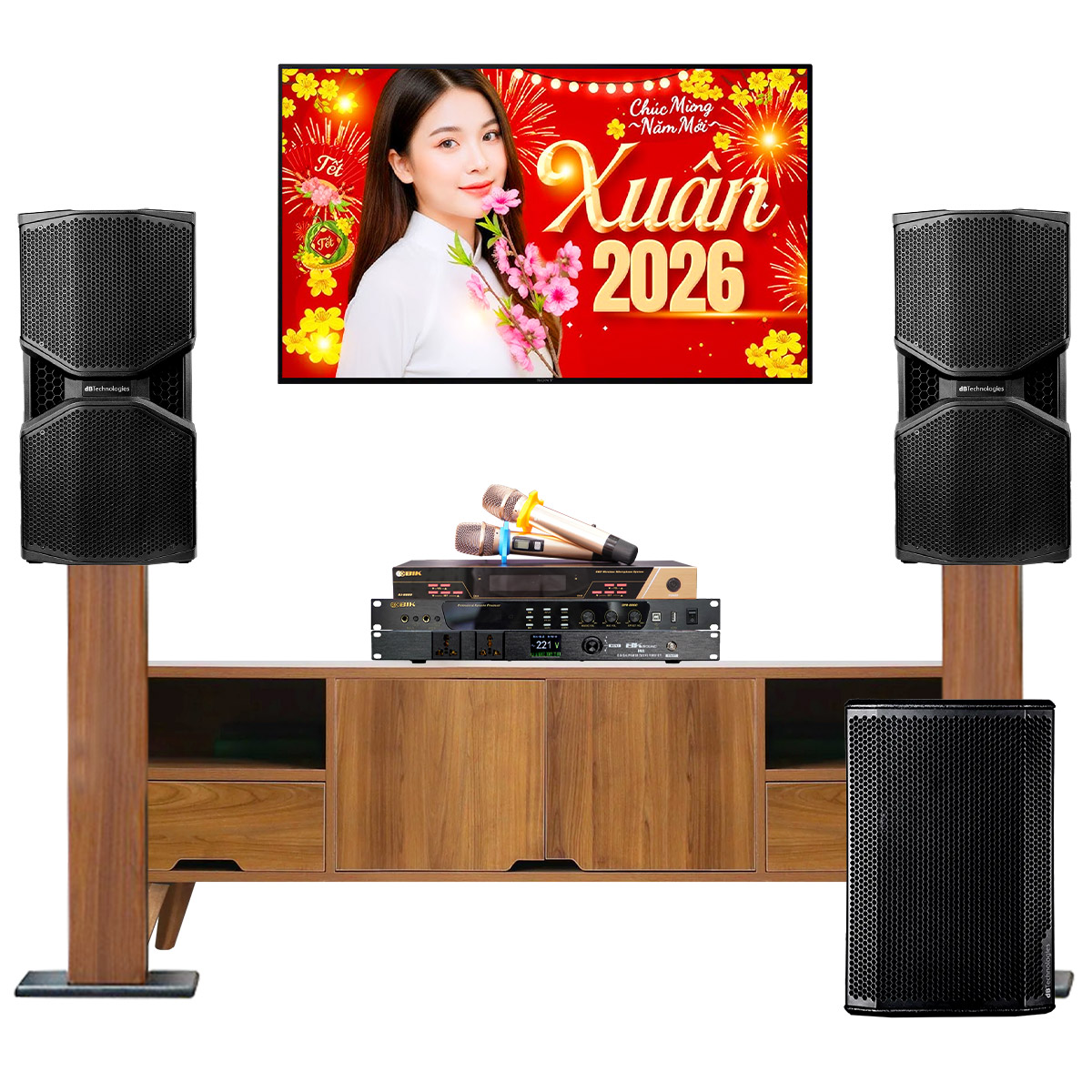 Dàn karaoke gia đình cao cấp dBTechnologies 02 (dBTechnologies Opera Reevo 210, Sub 612, BPR-8600, BJ-U600, BKSound M8) - Hình 2