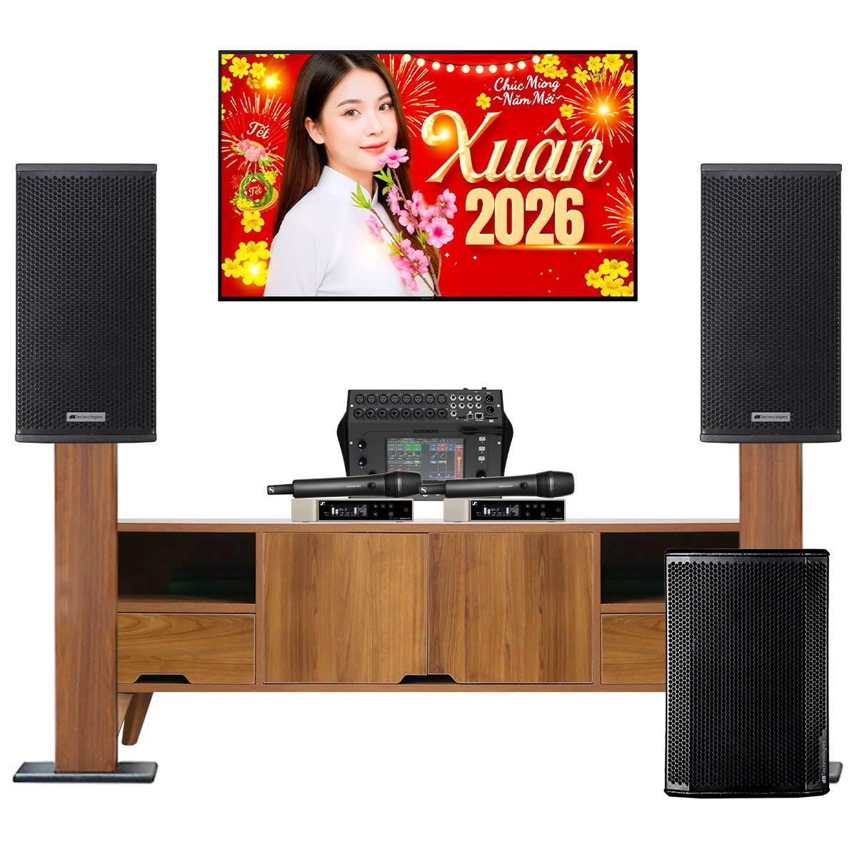 Dàn karaoke siêu cao cấp cho gia đình - biệt thự 01 (dBTechnologies Vio X10, Sub612, CQ-18T…) - Hình 2