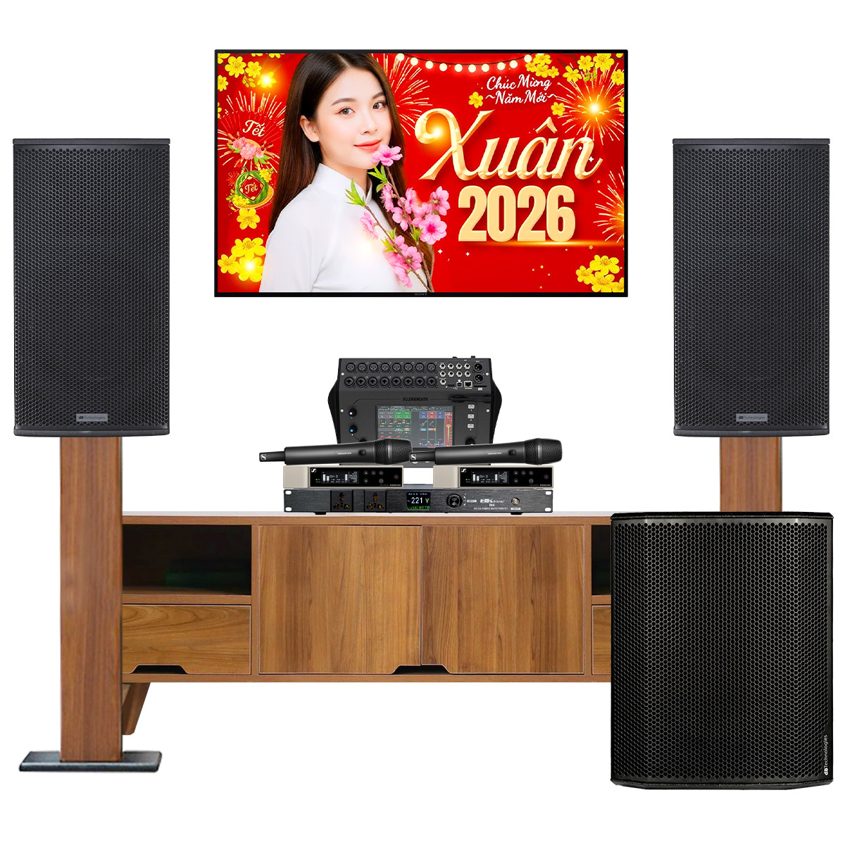 Dàn karaoke siêu cao cấp cho gia đình - biệt thự 03 (dBTechnologies Vio X15, Sub 618, CQ-18T,…) - Hình 2