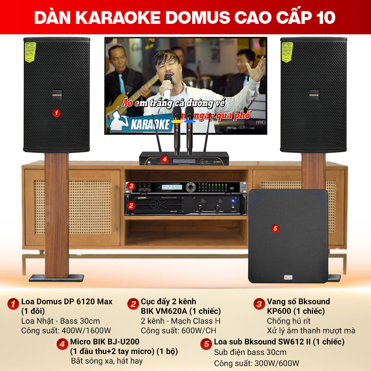 D&agrave;n karaoke Domus cao cấp 10