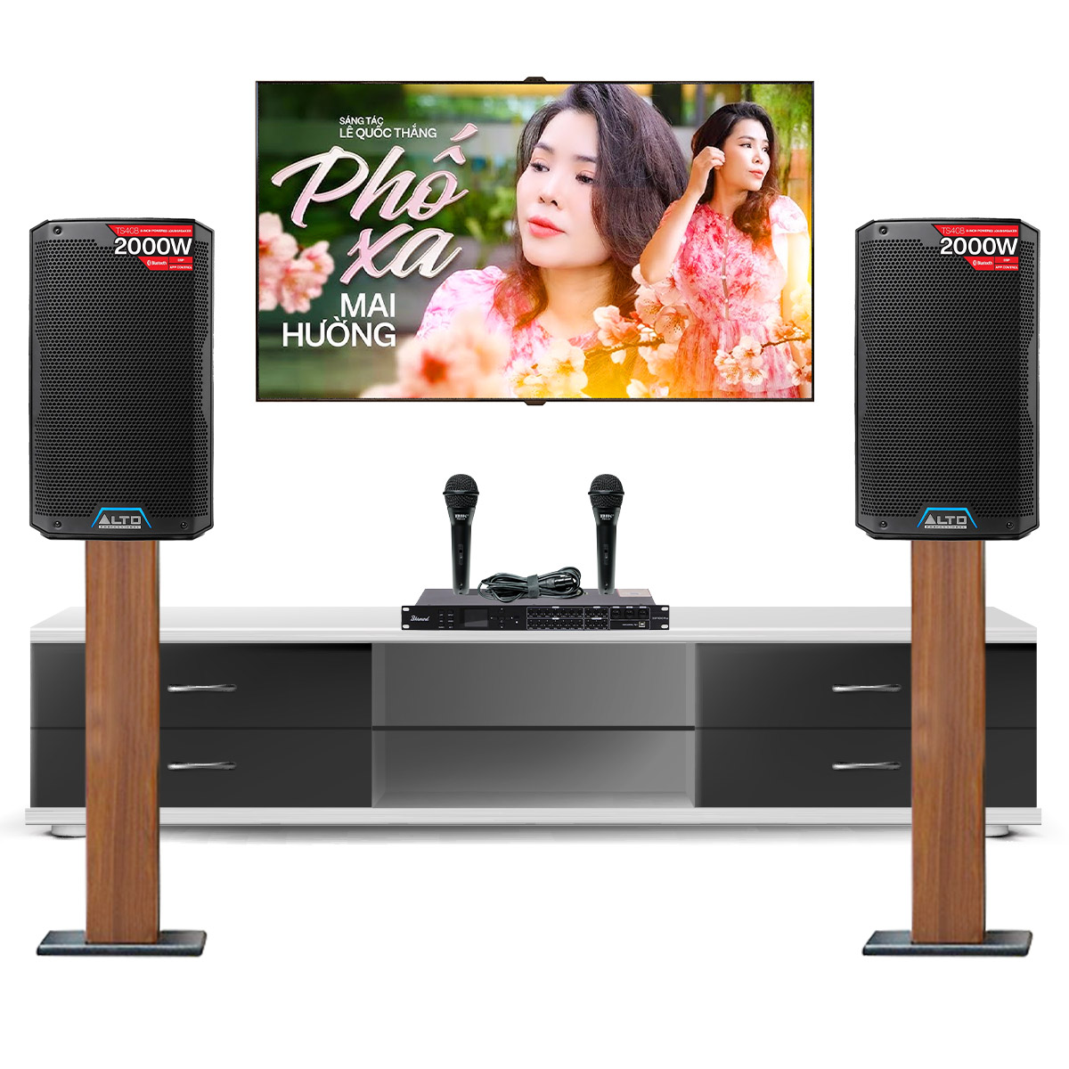 Dàn karaoke gia đình Alto 29