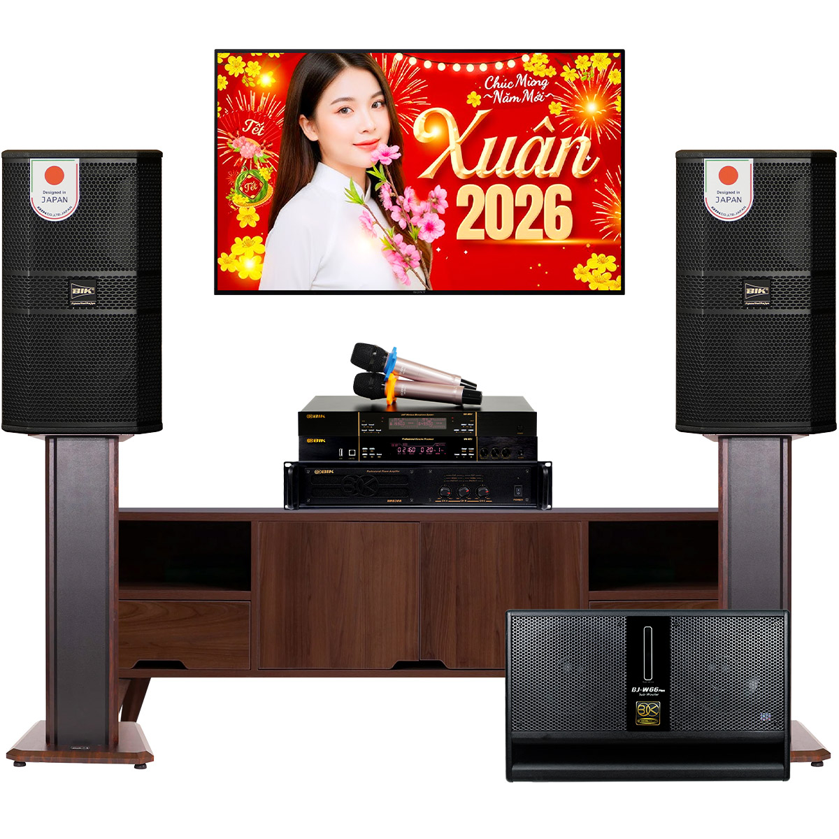 Dàn karaoke gia đình BIK 28