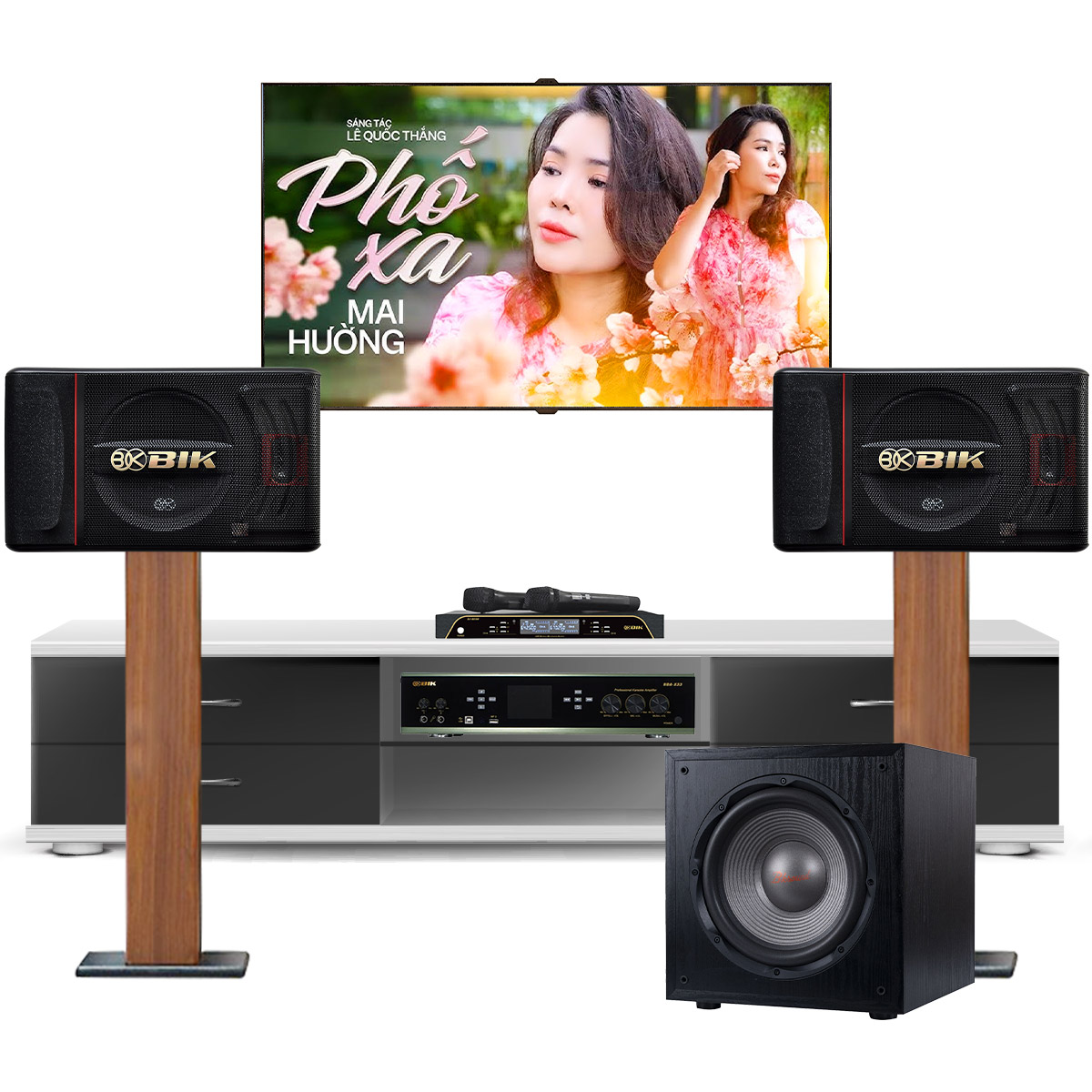 Dàn karaoke gia đình BIK 37 (BIK BJ S886II, BIK VM620A, BIK BDA-X33, BIK BJ-U200)