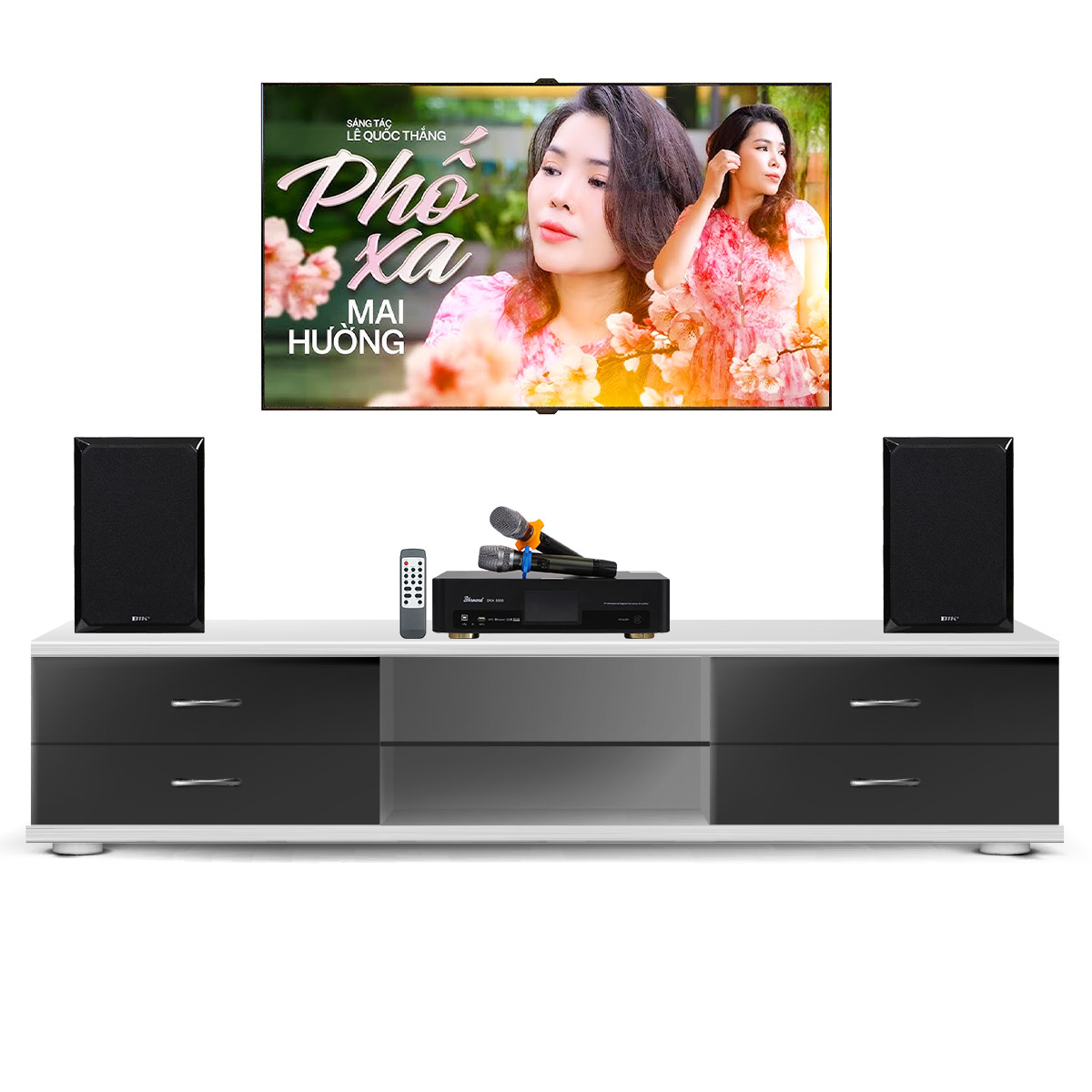 Dàn karaoke gia đình, Chung Cư Giá Rẻ, Karaoke Box 04 (BIK BH-X631, BKSound DKA 5500) - Hình 2