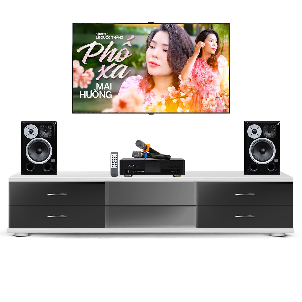 Dàn karaoke gia đình, Chung Cư Giá Rẻ, Karaoke Box 04 (BIK BH-X631, BKSound DKA 5500) - Hình 3