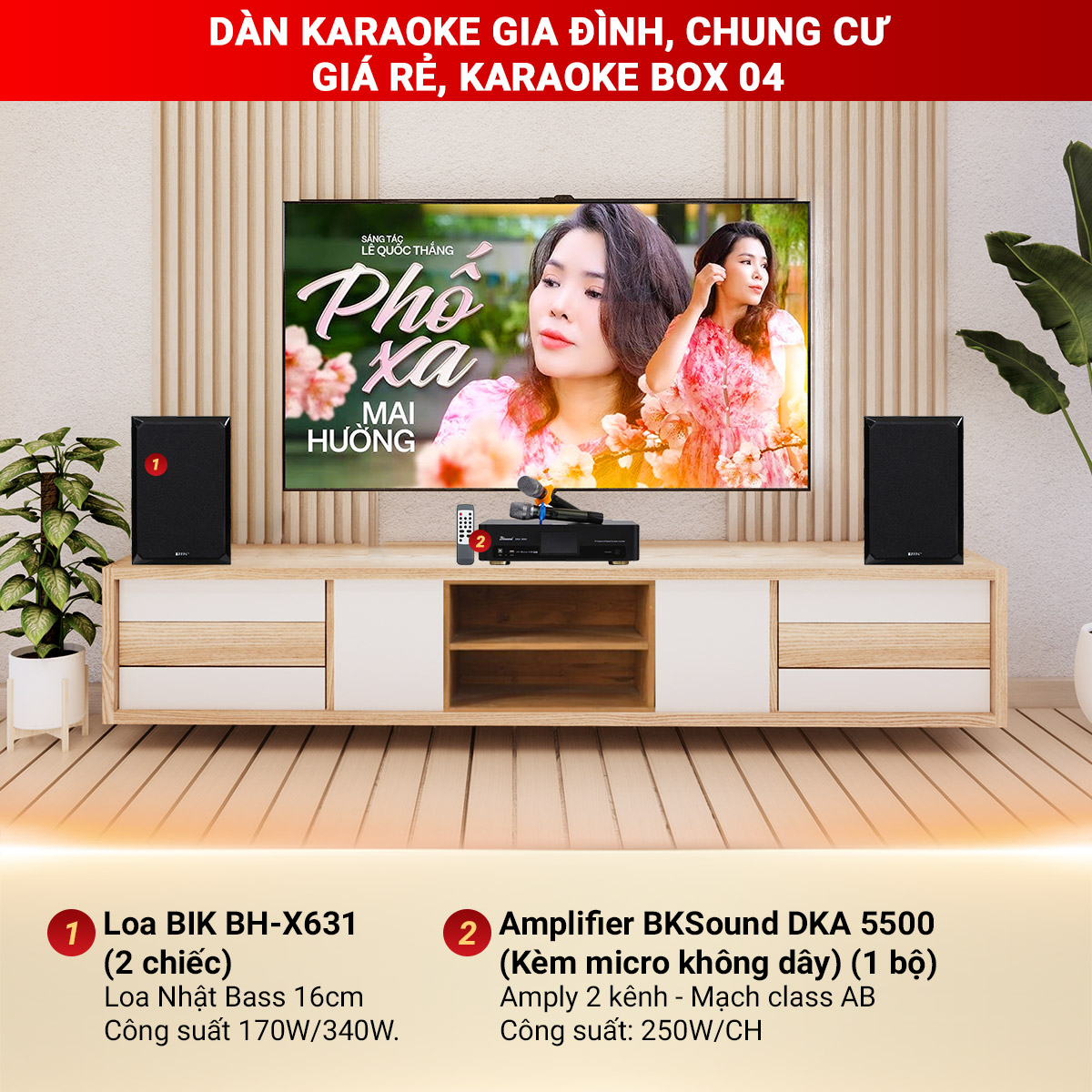 D&agrave;n karaoke gia đ&igrave;nh, Chung Cư Gi&aacute; Rẻ, Karaoke Box 04
