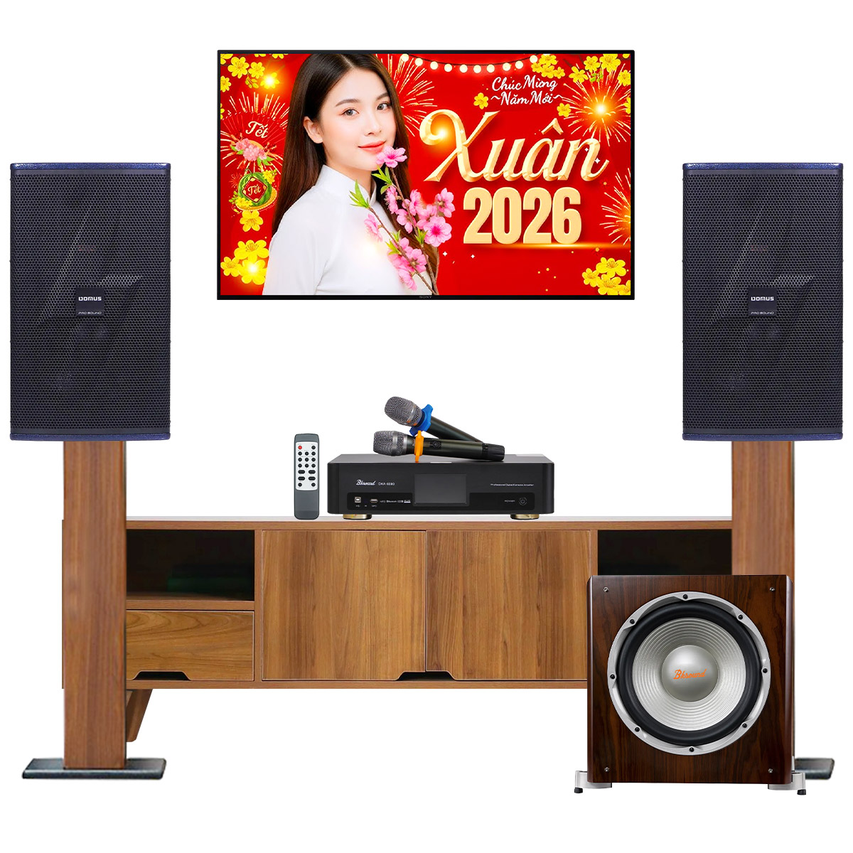 Dàn karaoke gia đình Domus 21 (Domus DP-6210 MAX, Bksound DKA 6500, Bksound SW512)