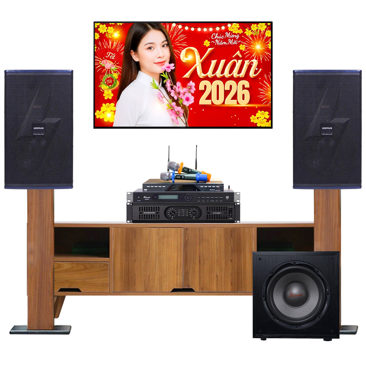 Dàn karaoke gia đình Domus 24 (Domus DP-6210 MAX, Audiocenter CT1200, BKSound KP500, BKSound SW212, BCE U900 Plus X)
