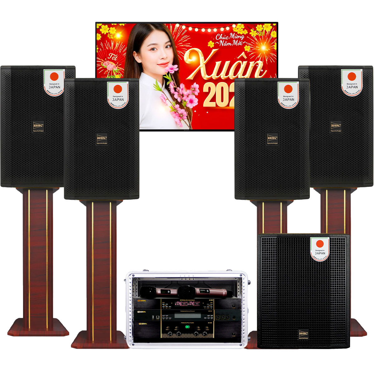 Dàn karaoke gia đình đồng bộ BIK cao cấp 01