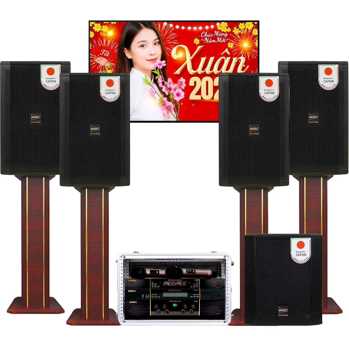Dàn karaoke gia đình đồng bộ BIK cao cấp 02
