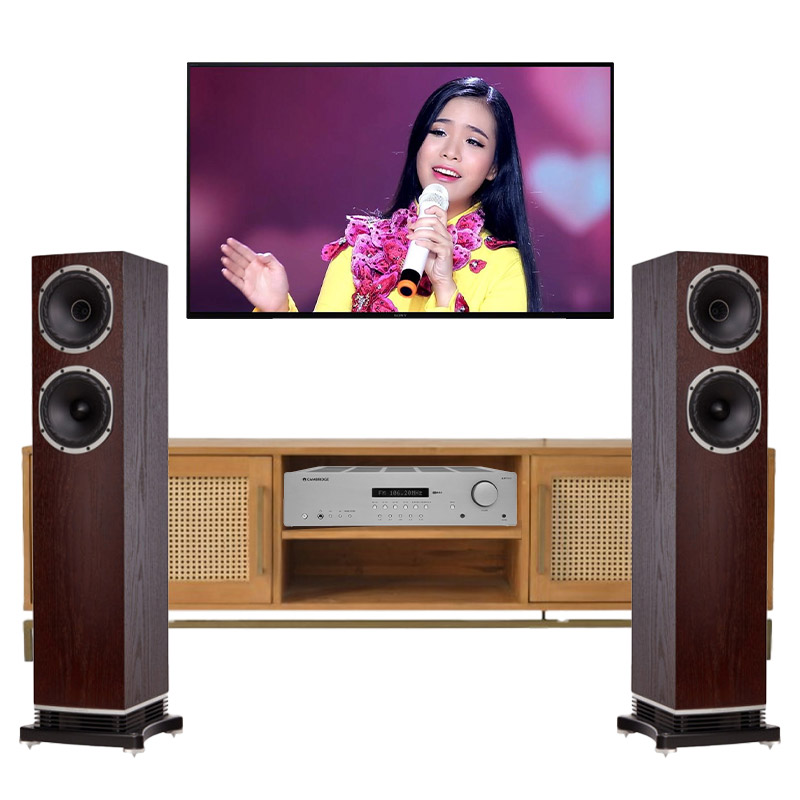 Dàn Nghe Nhạc Fyne Audio 06