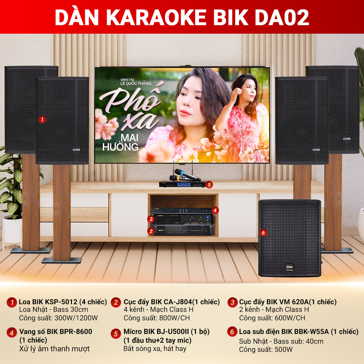D&agrave;n karaoke BIK DA02