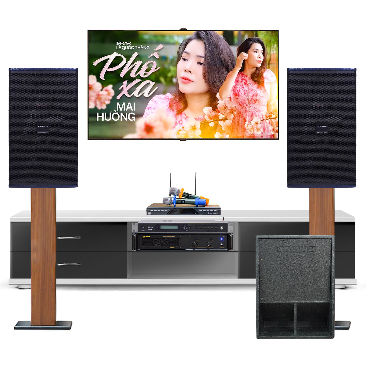 Dàn karaoke cao cấp Domus 11 (Domus DP-6212 Max, BIK VM620A, BKsound KP500, BCE U900 Plus X, Domus 15W)