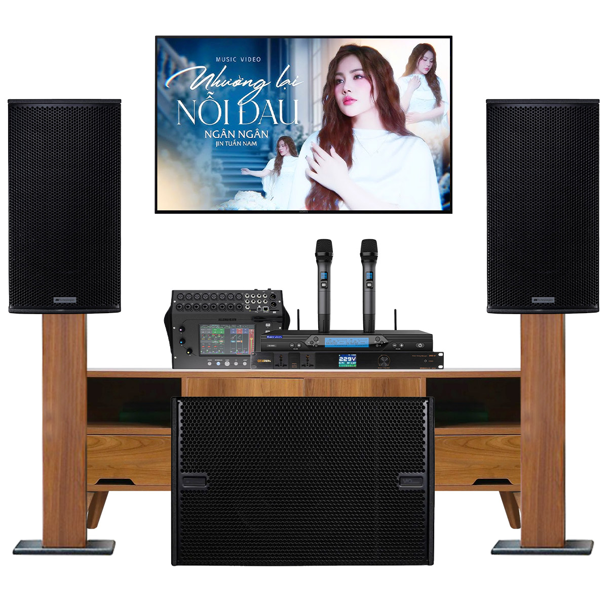 Dàn Karaoke Siêu Cao Cấp Cho Gia Đình - Biệt Thự dBTechnologies 10 (Vio X15, VIO S115, Allen & Heath CQ-18T...) - Hình 2
