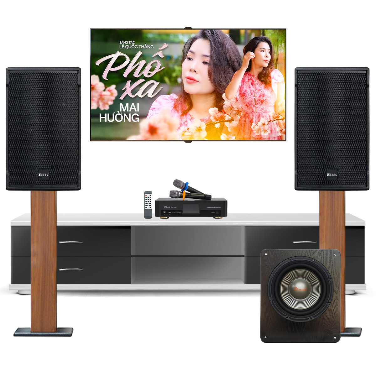 Dàn karaoke gia đình BIK20 (BIK CS-525, Bksound DKA 6500, BKSound SW612 MK II)