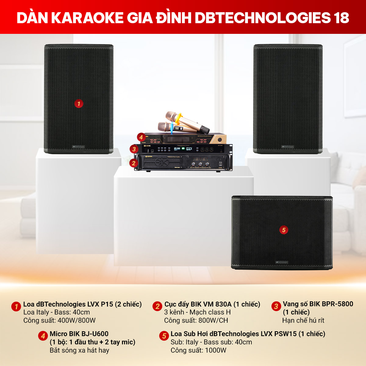 Dàn karaoke gia đình dBTechnologies 18